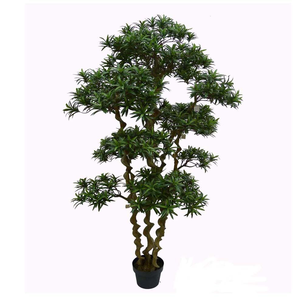 Pine Tree