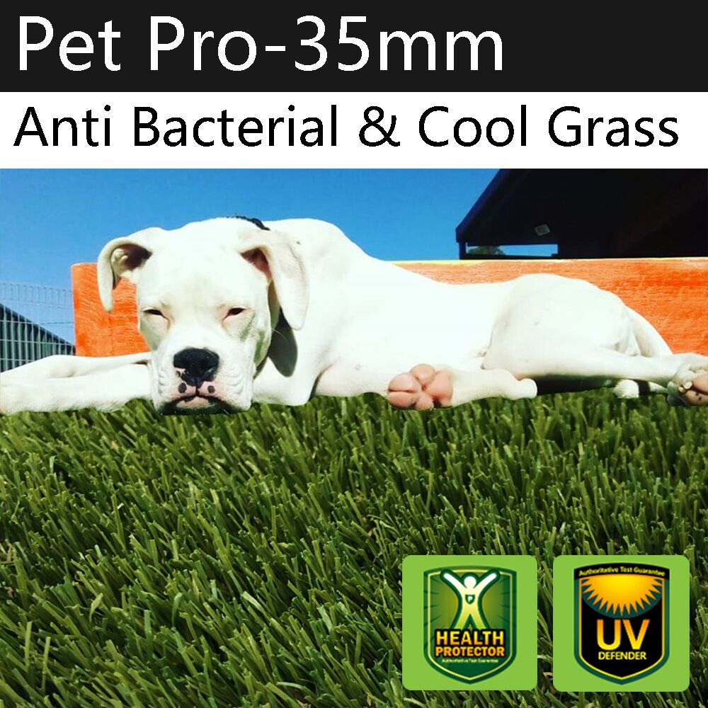 Anti Bacterial