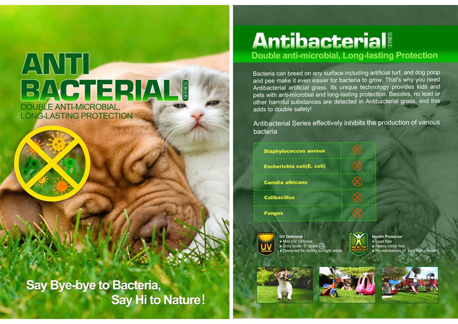 Anti Bacterial-3