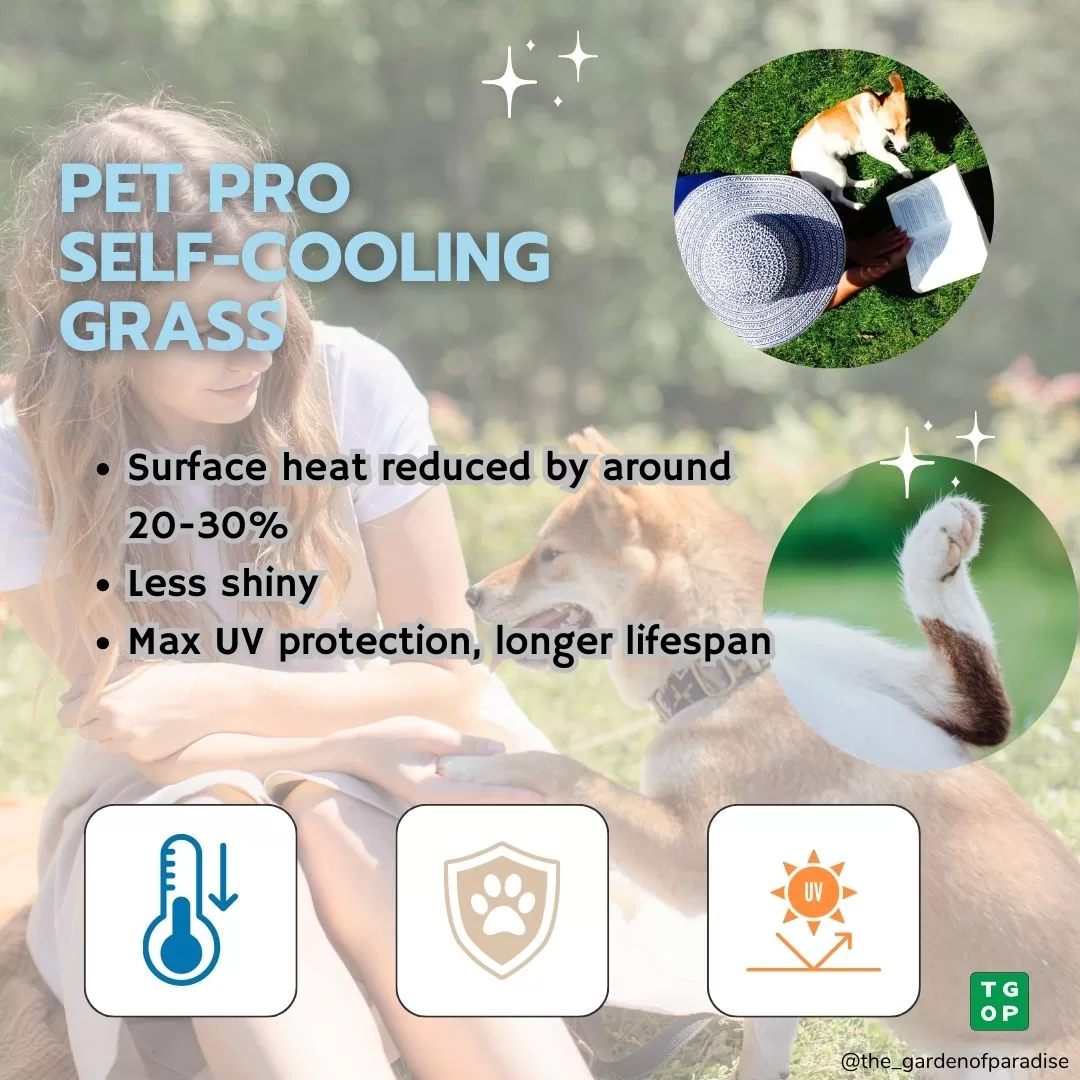 35mm Pet Pro Anti Bacterial & Cool Artificial Grass Synthetic Turf Lawn Carpet - Image 6
