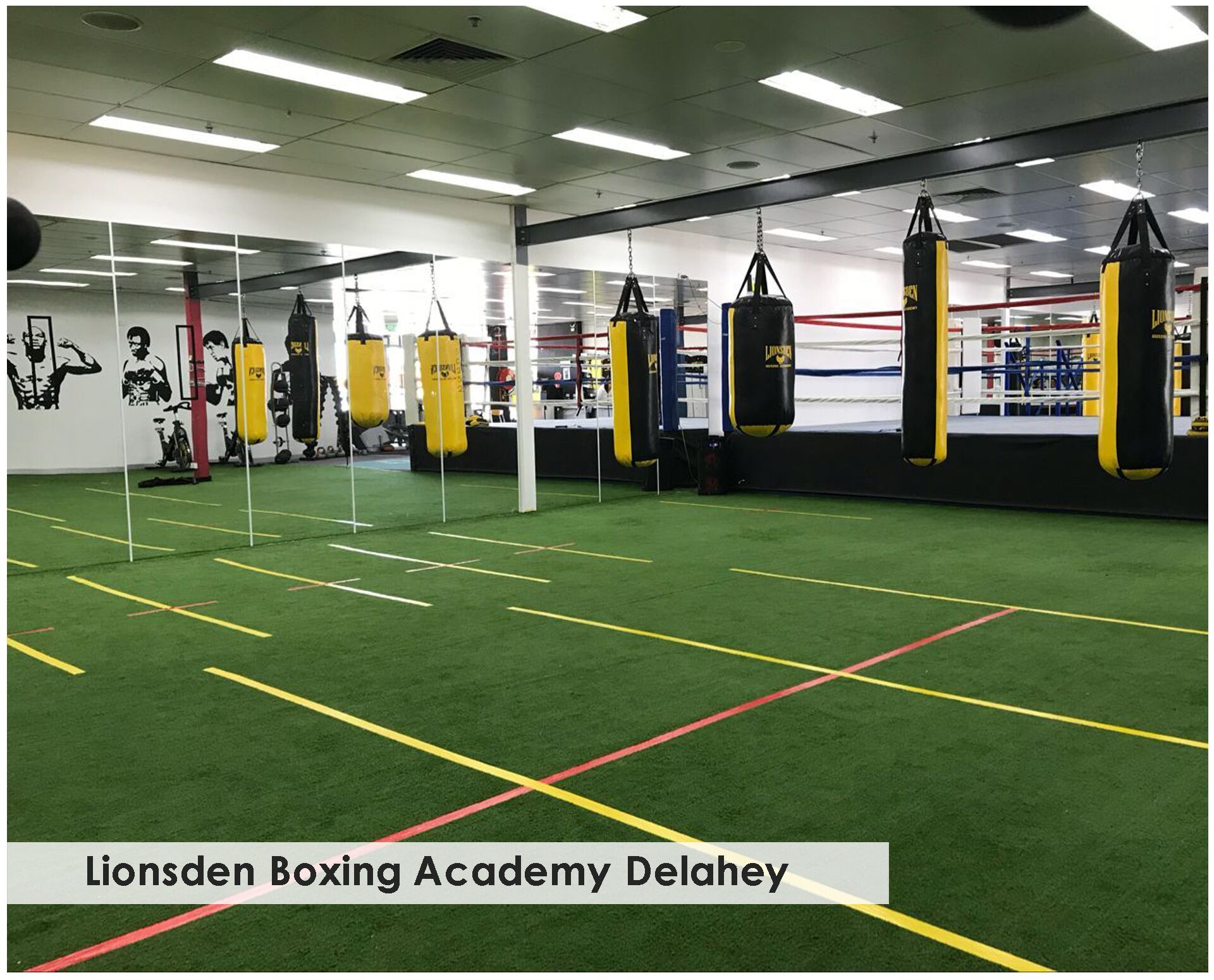 Lionsden Boxing Academy Delahey