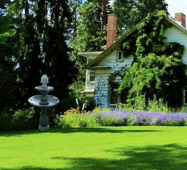Bird Bath 3 Tier Solar Water Feature Black F921B1 - Image 10