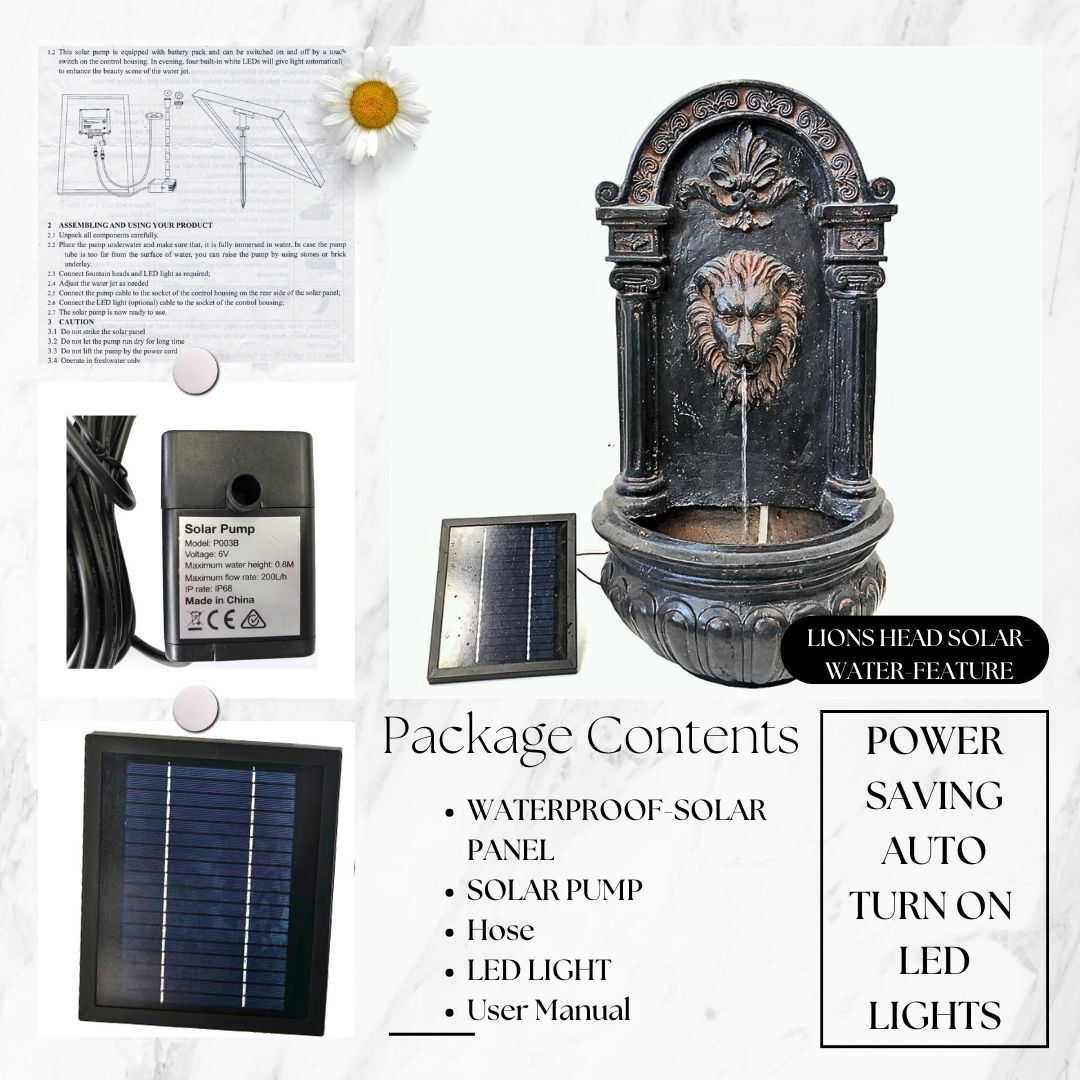 Lions Head Solar Water Feature Water Fountain F811A2 - Image 3
